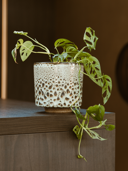 Keramiek Pot - Groen